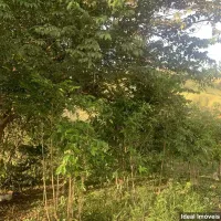 Área