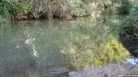 Lagoa acima da cachoeira.